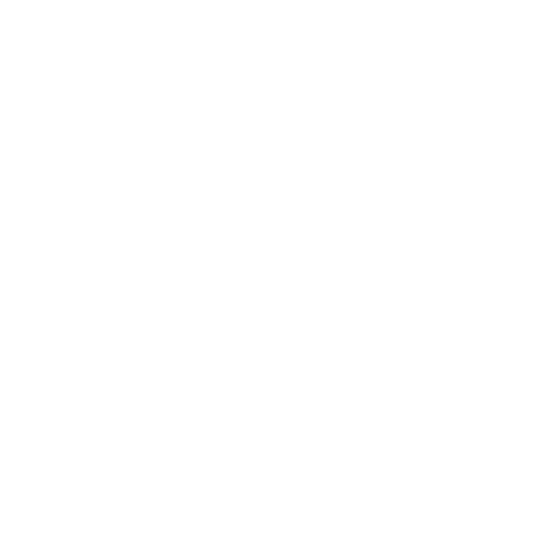 THE MIDNIGHT COLLECTIVE